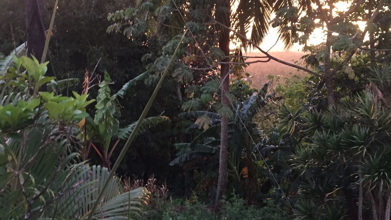 Photo of Outdoor in Banse