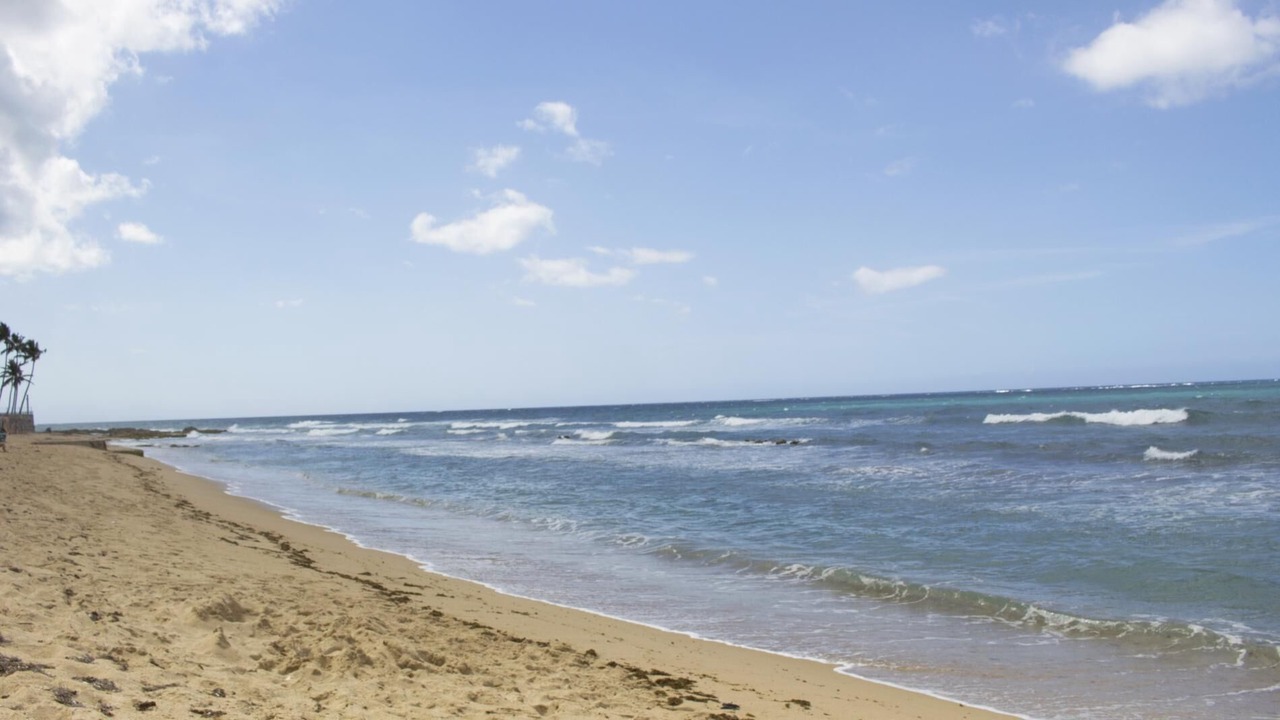 Photo of Others in Condado