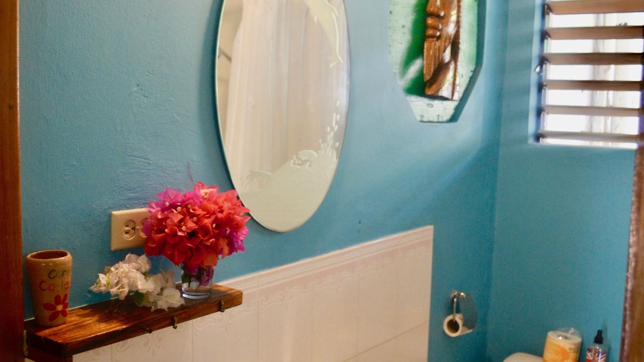 Photo of Bathroom in Little Bay