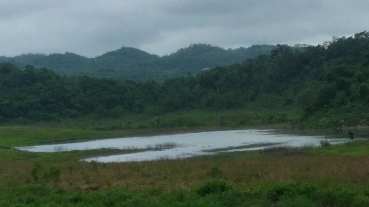 Photo of Outdoor in Moneague