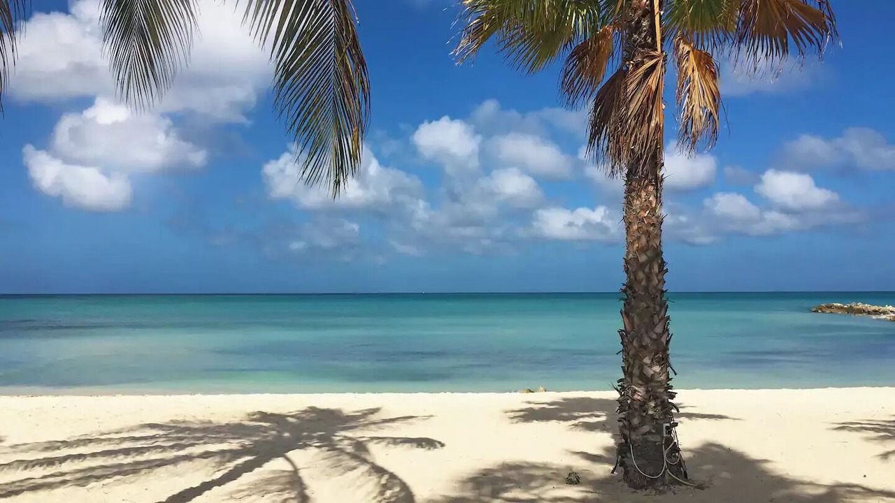 Photo of Others in Oranjestad-West