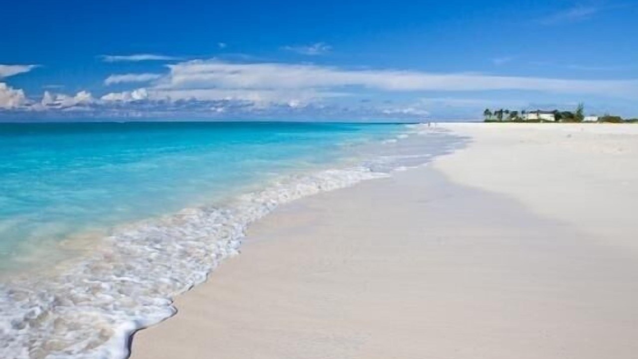 Photo of Others in The Bight