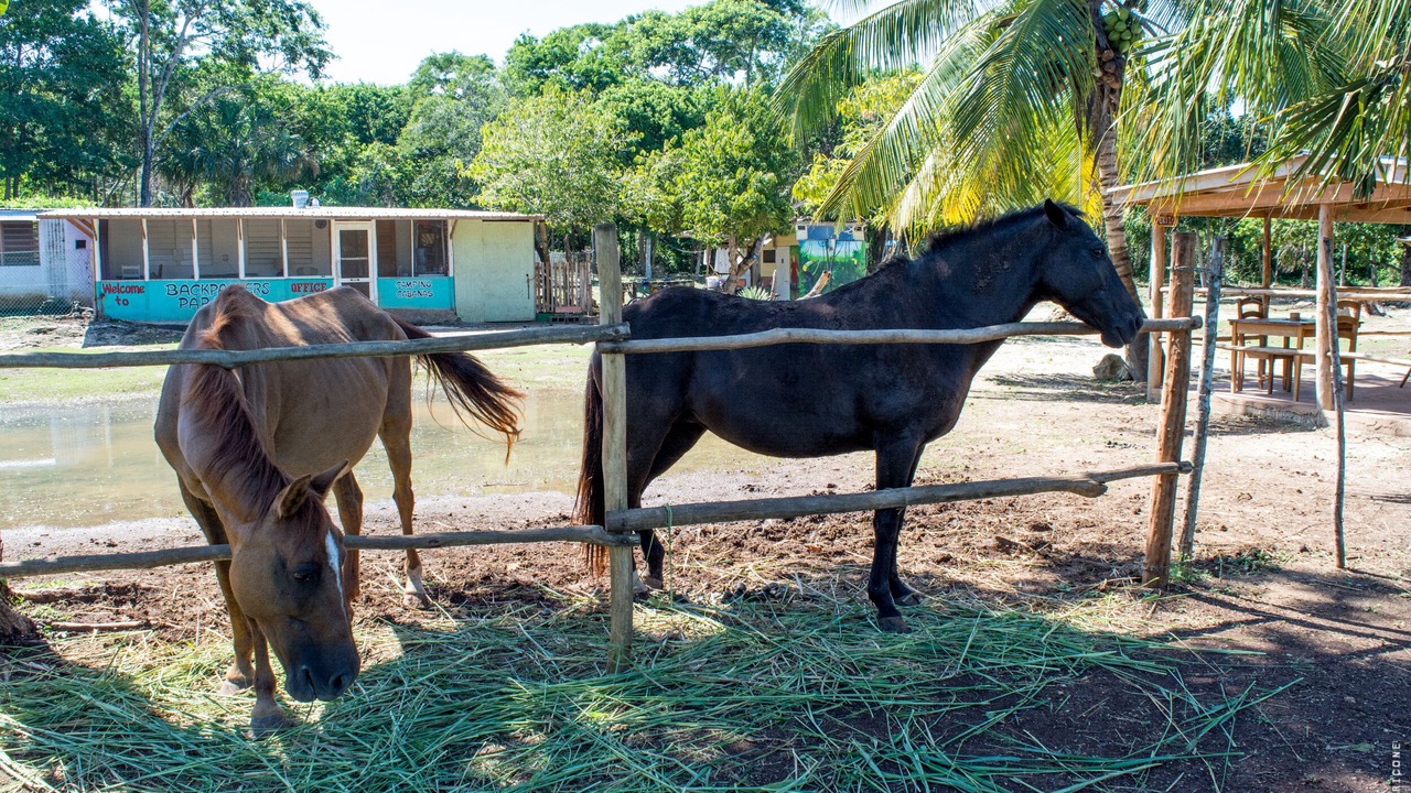 Photo of Outdoor in Sarteneja