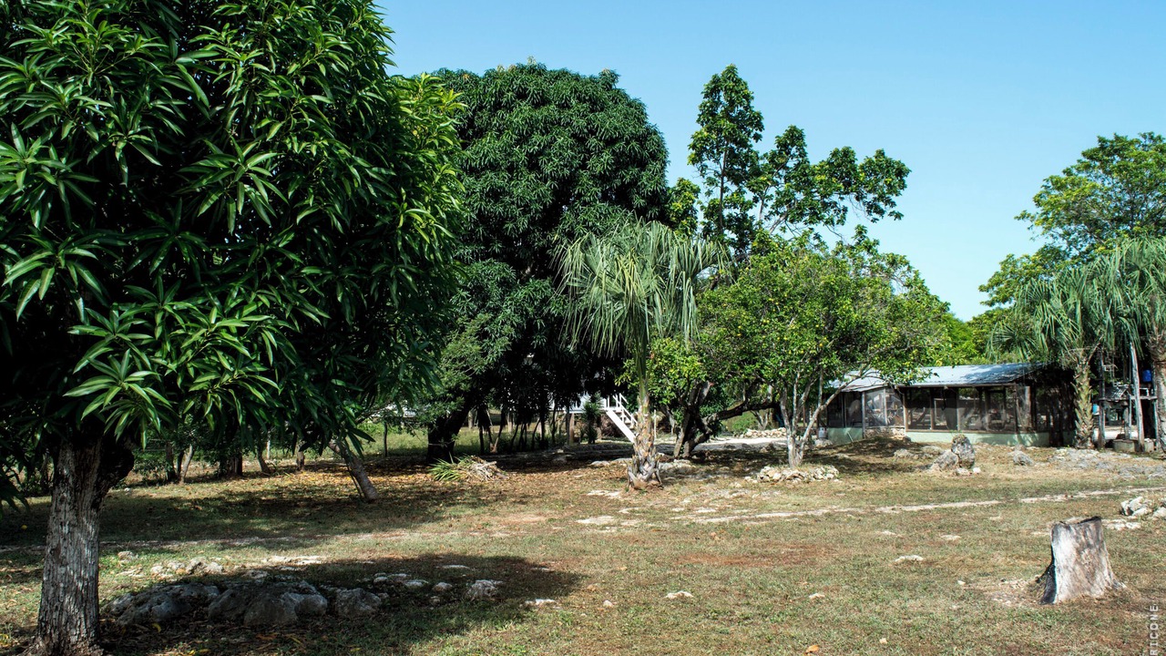 Photo of Outdoor in Sarteneja