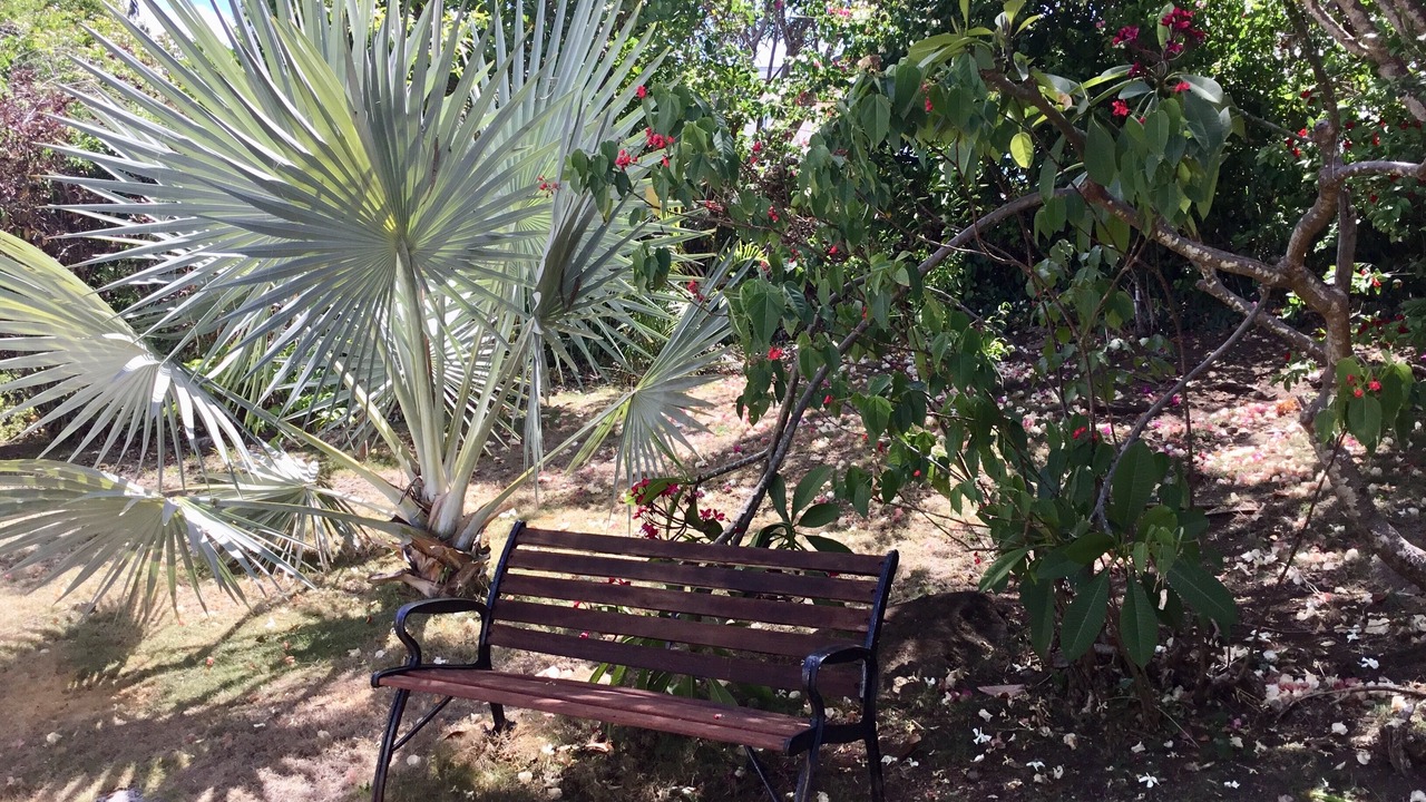 Photo of Outdoor in Arawak Hill