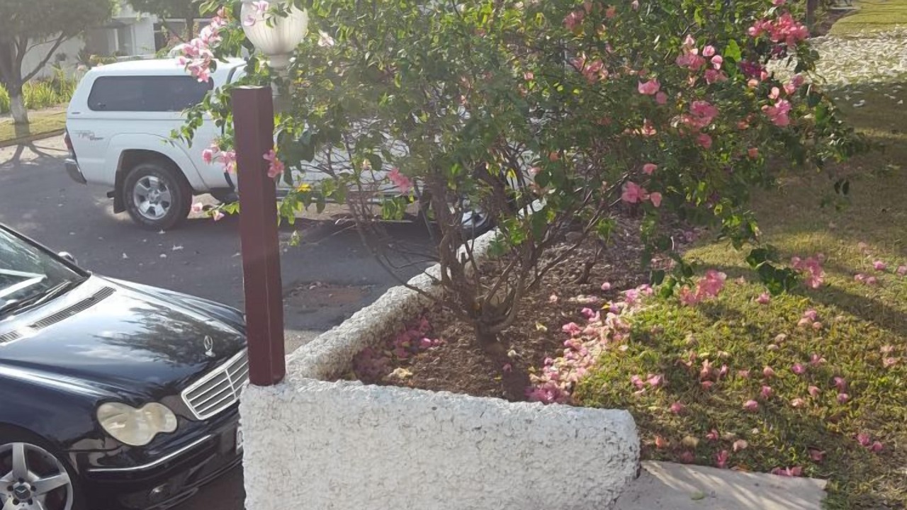 Photo of Outdoor in Constant Spring