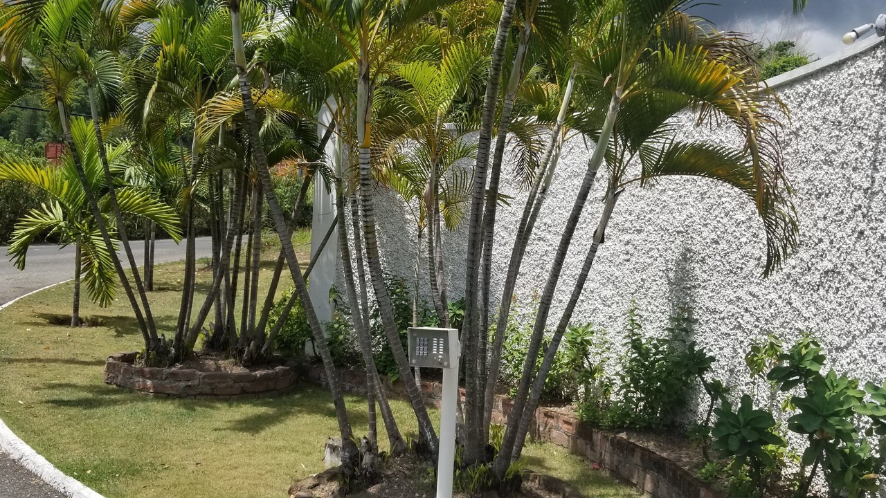 Photo of Outdoor in Constant Spring