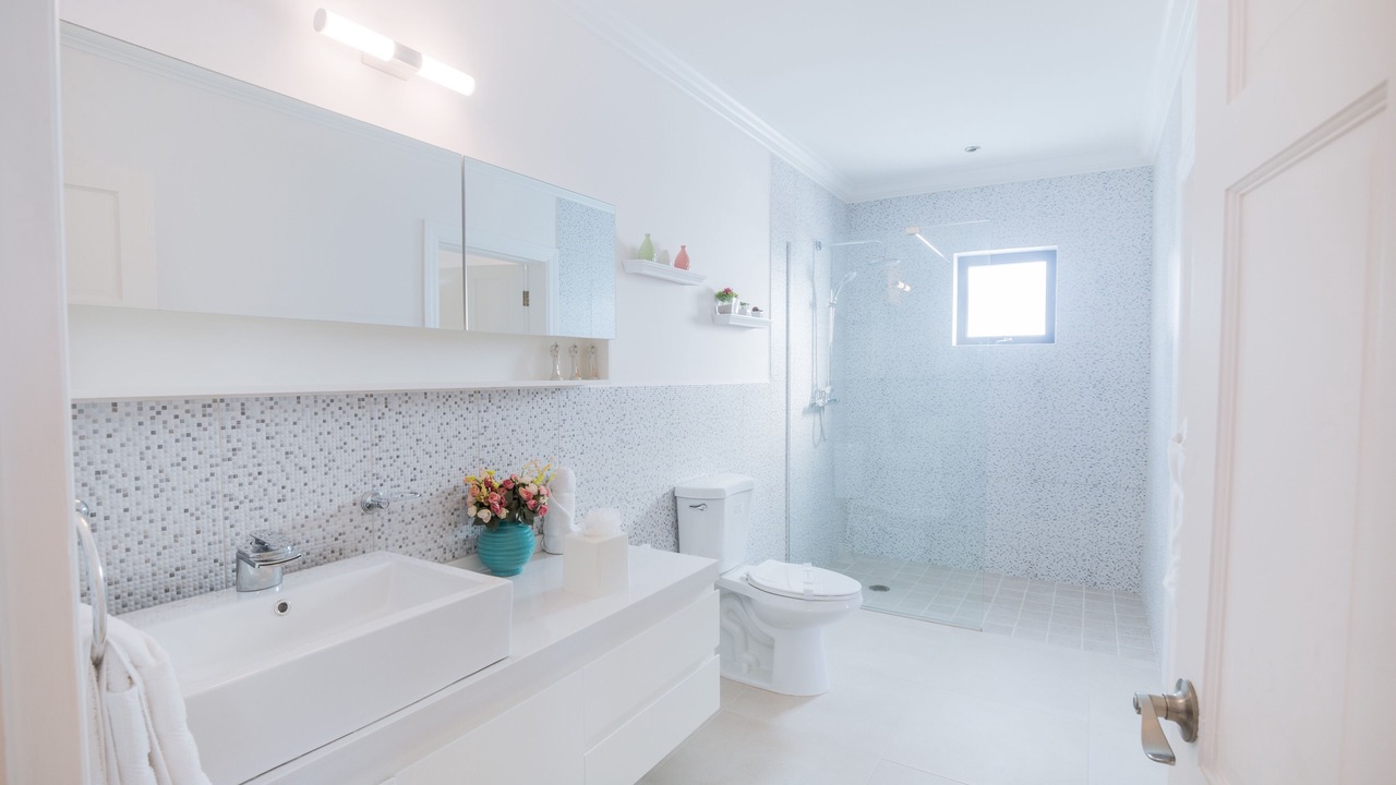 Photo of Bathroom in Rodney Bay