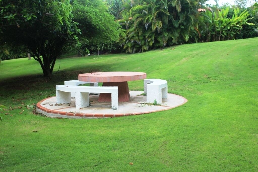Photo of Outdoor in Los Lagos