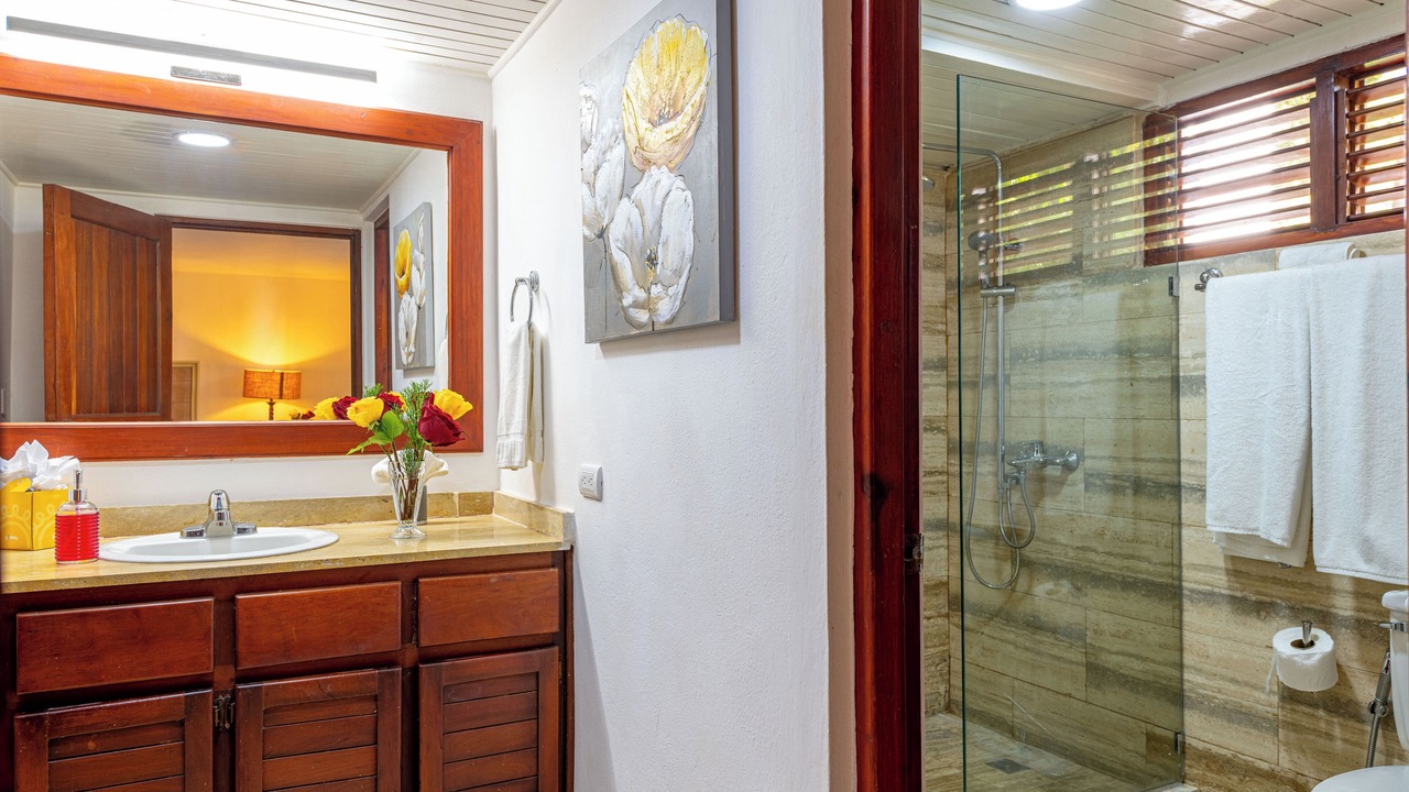Photo of Bathroom in Los Lagos
