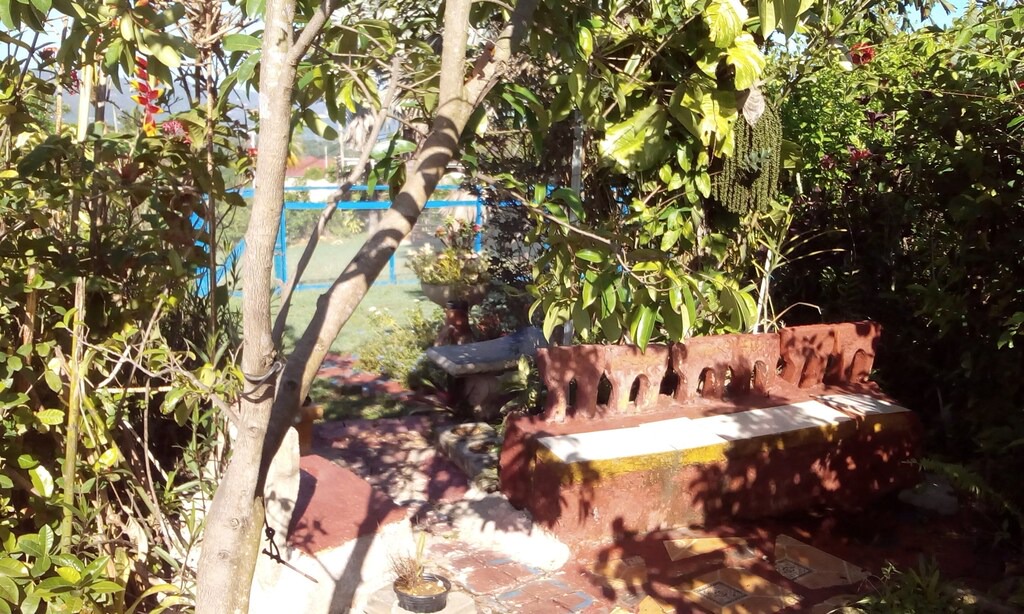 Photo of Others in Montego Bay