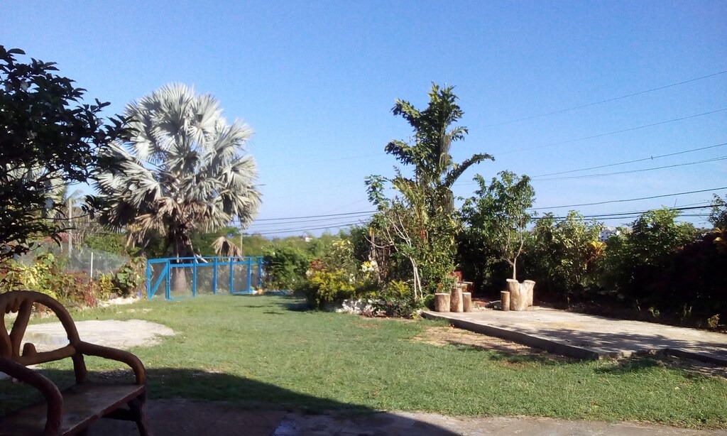 Photo of Others in Montego Bay