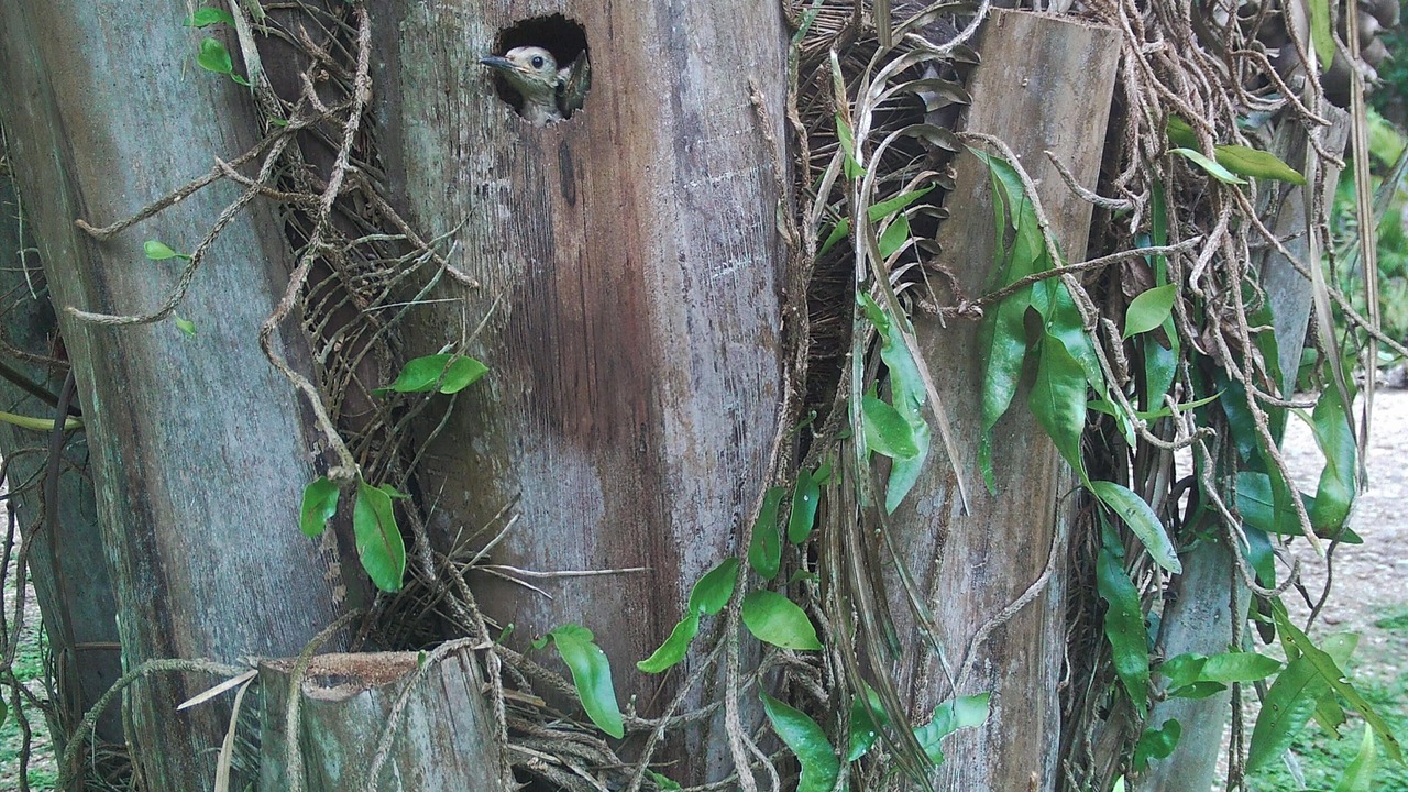 Photo of Outdoor in Unitedville