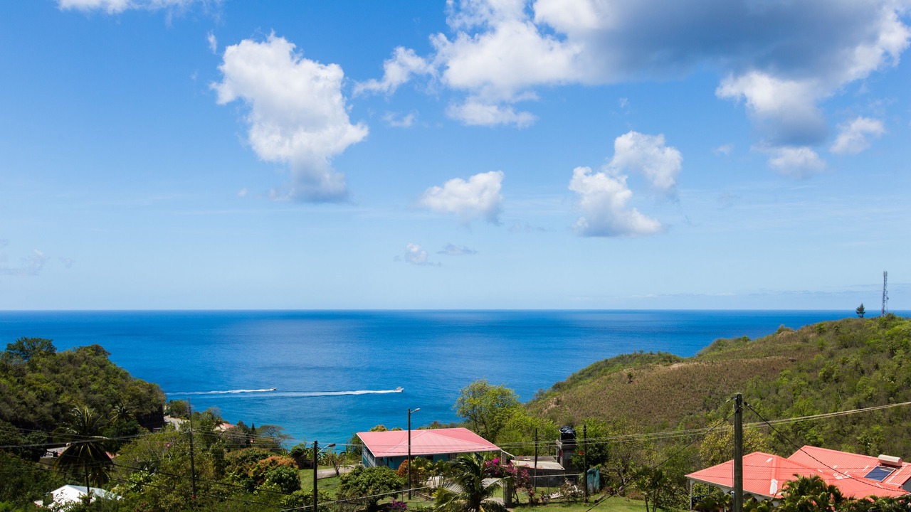 Photo of Others in Canaries
