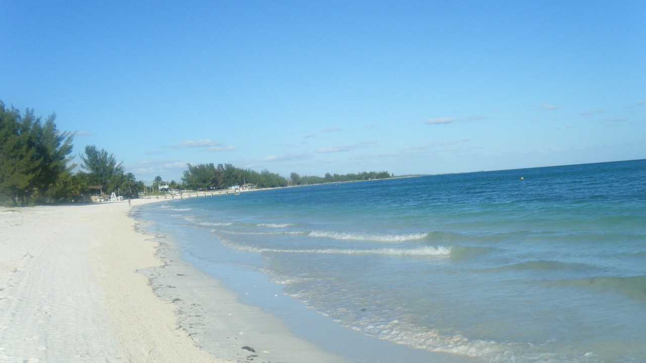 Photo of Others in Bell Channel Bay