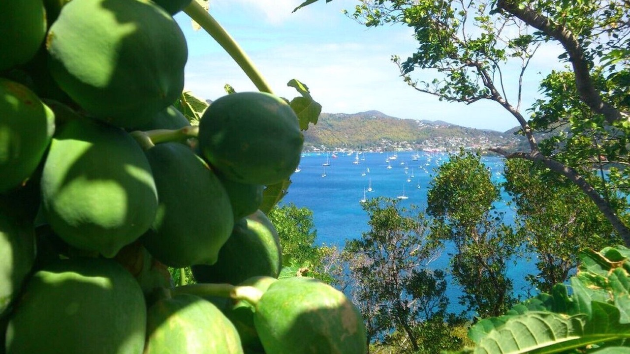 Photo of Outdoor in Lower Bay