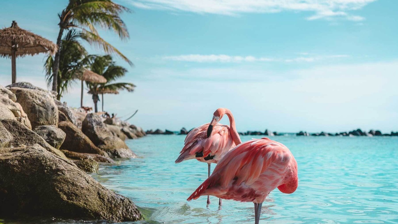 Photo of Others in Palm Beach