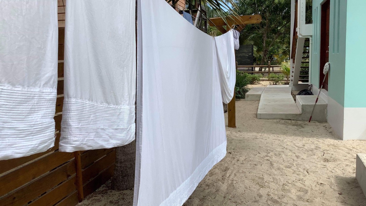 Photo of Others in Placencia