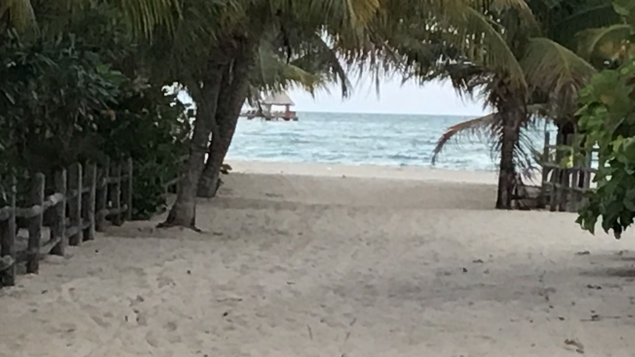 Photo of Others in Placencia