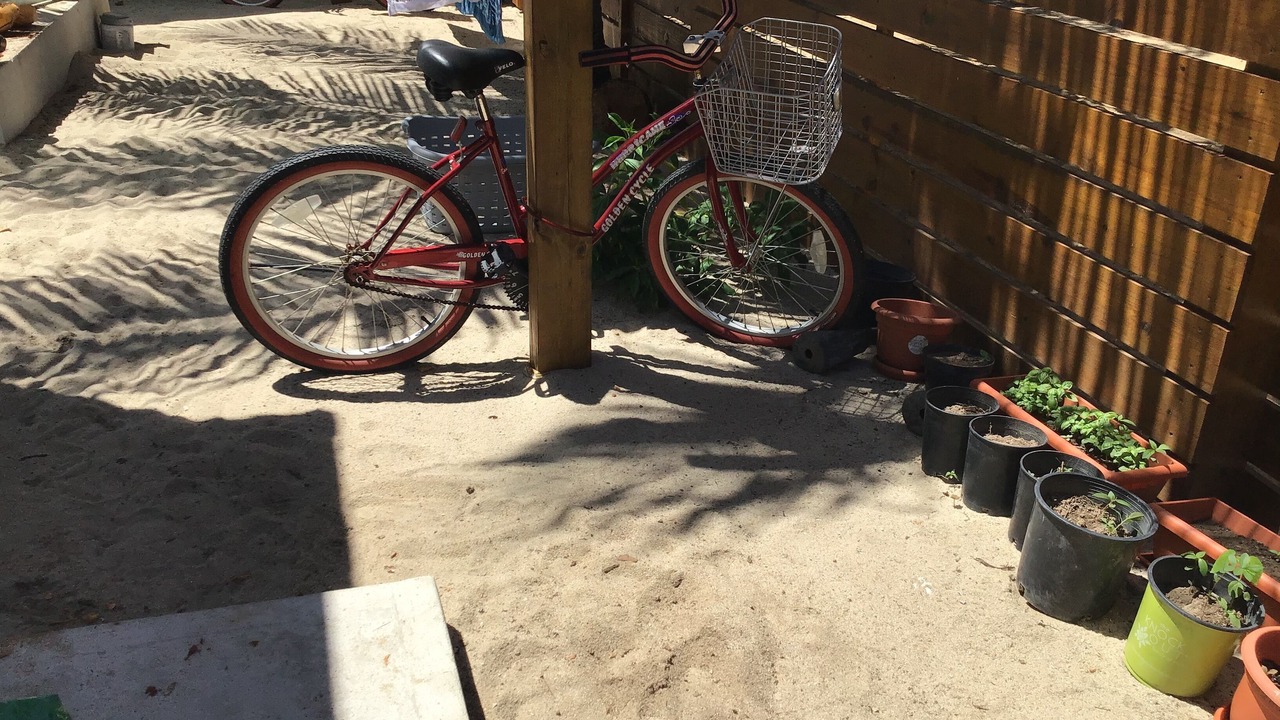 Photo of Others in Placencia