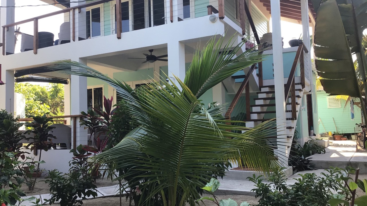Photo of Others in Placencia