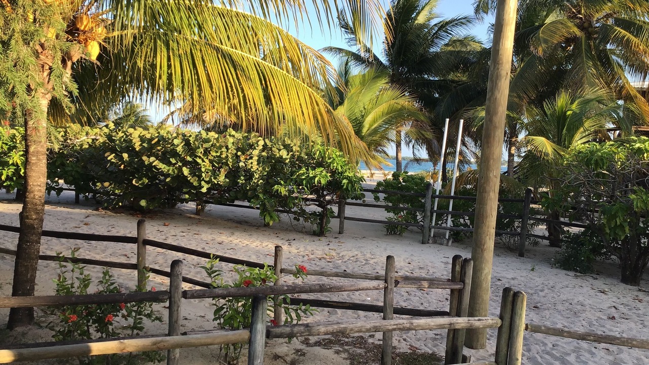 Photo of Others in Placencia