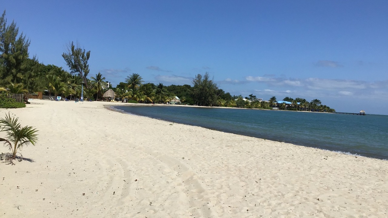 Photo of Others in Placencia