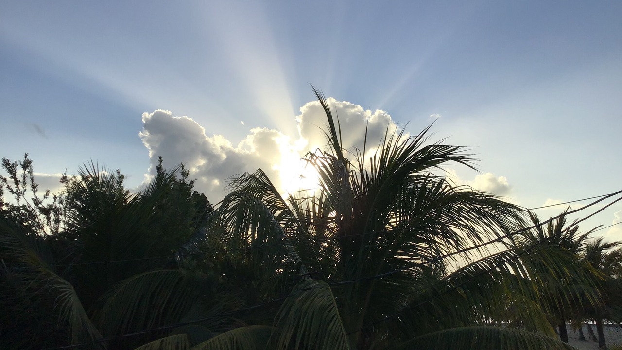 Photo of Others in Placencia