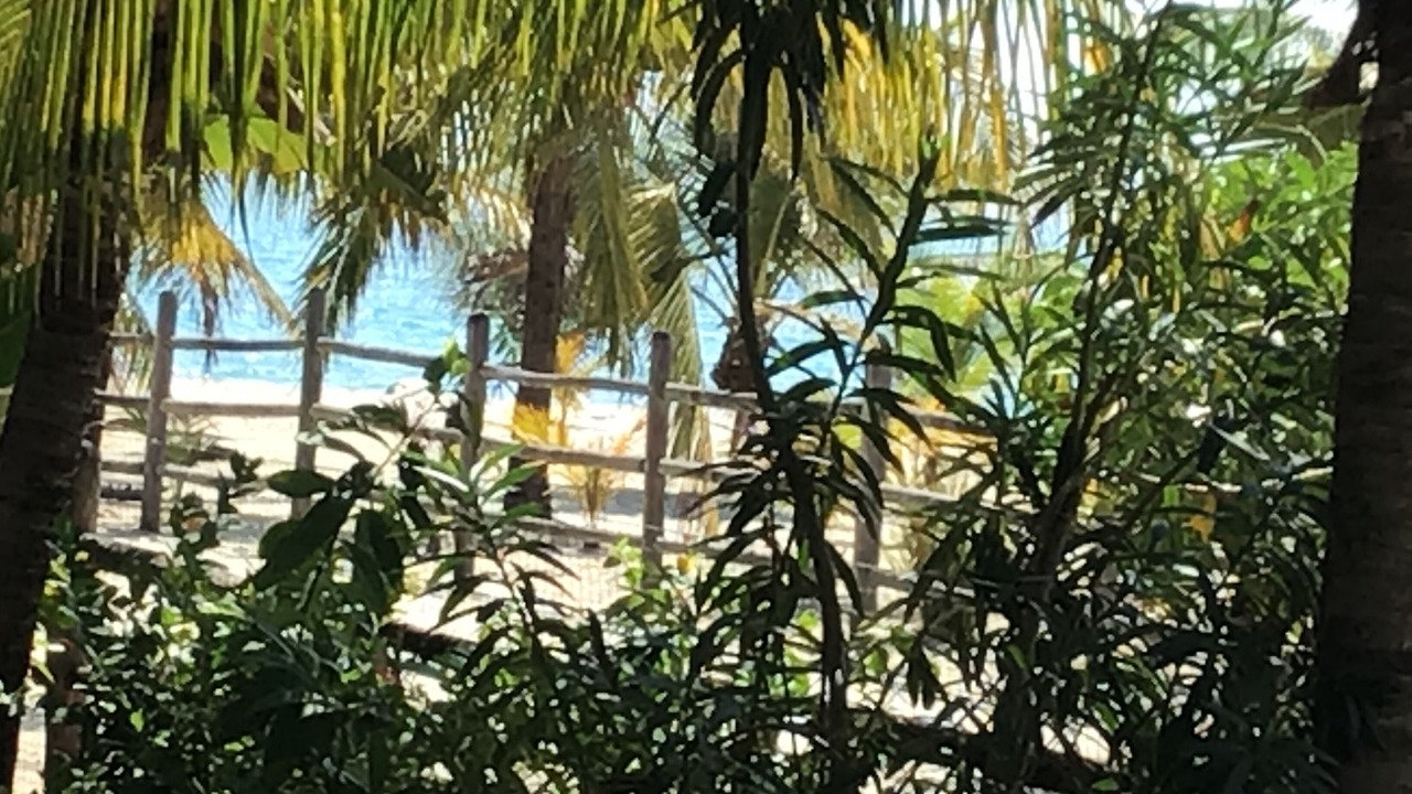 Photo of Others in Placencia