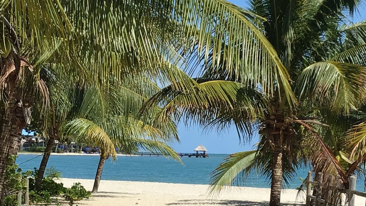 Photo of Others in Placencia