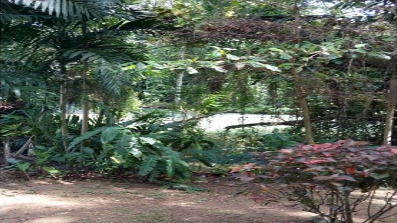 Photo of Outdoor in Falmouth