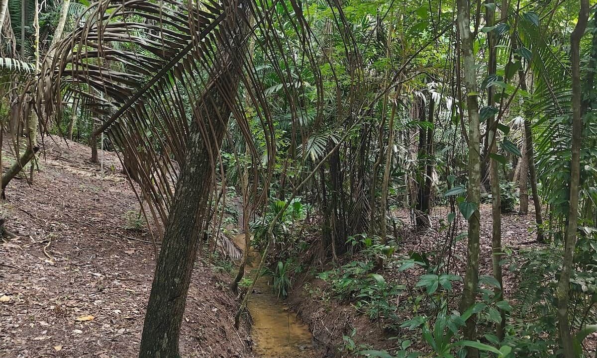 Photo of Others in Spanish Lookout