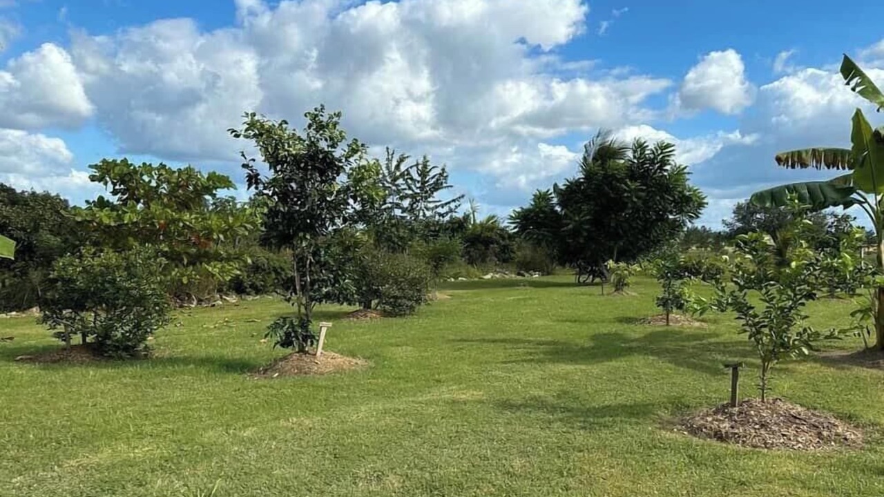 Photo of Outdoor in Spanish Lookout