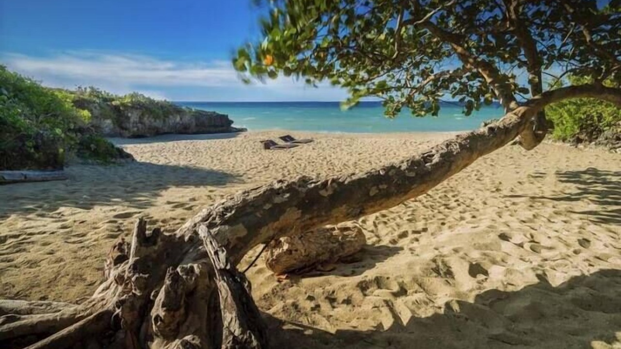 Photo of Others in Playa Chiquita