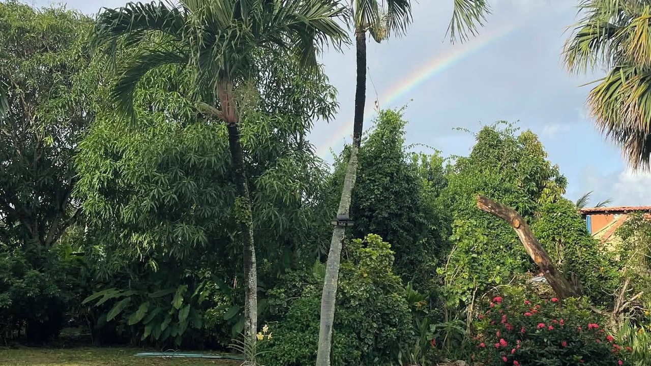 Photo of Outdoor in Cabrera