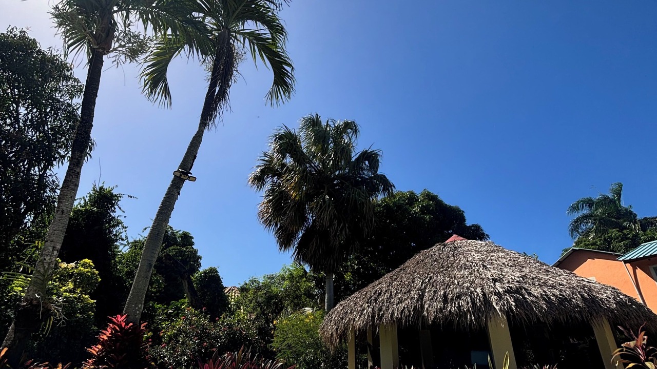 Photo of Outdoor in Cabrera