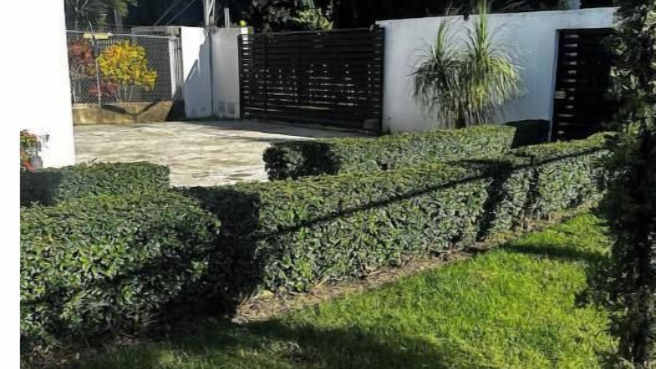 Photo of Outdoor in Urbanizacion Tavarez