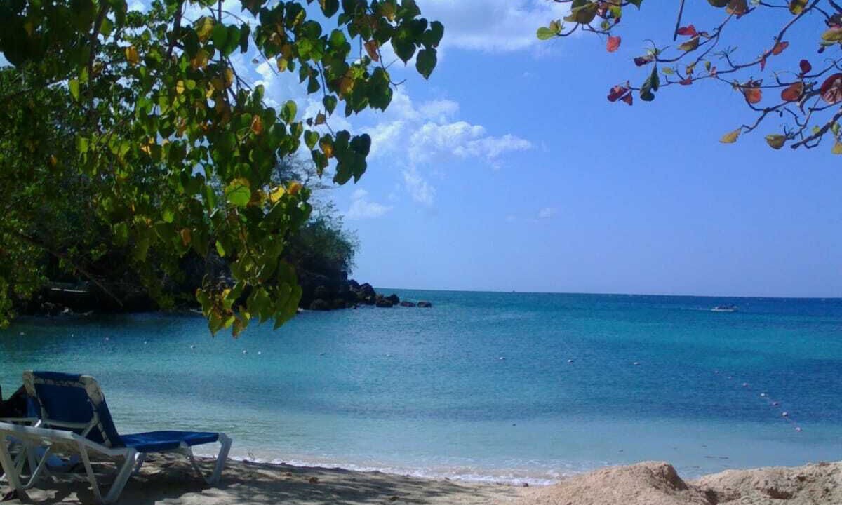 Photo of Others in Orange Bay