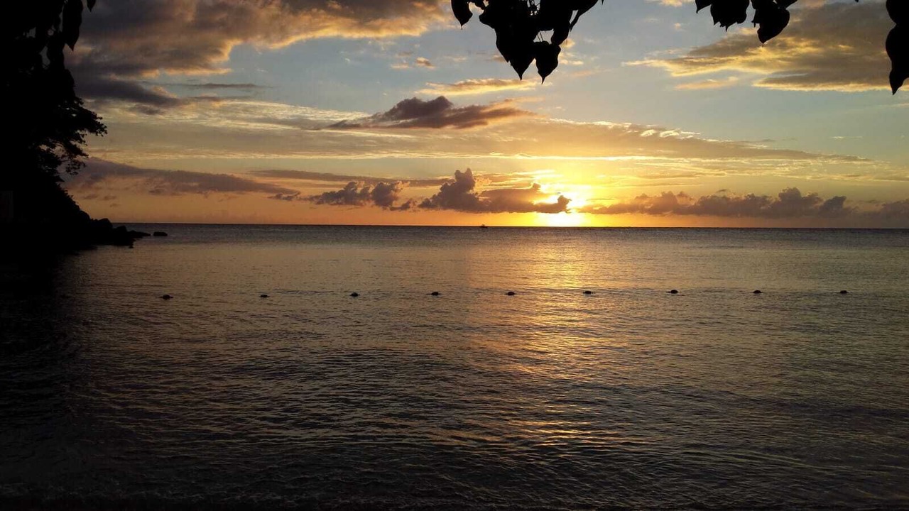 Photo of Others in Orange Bay