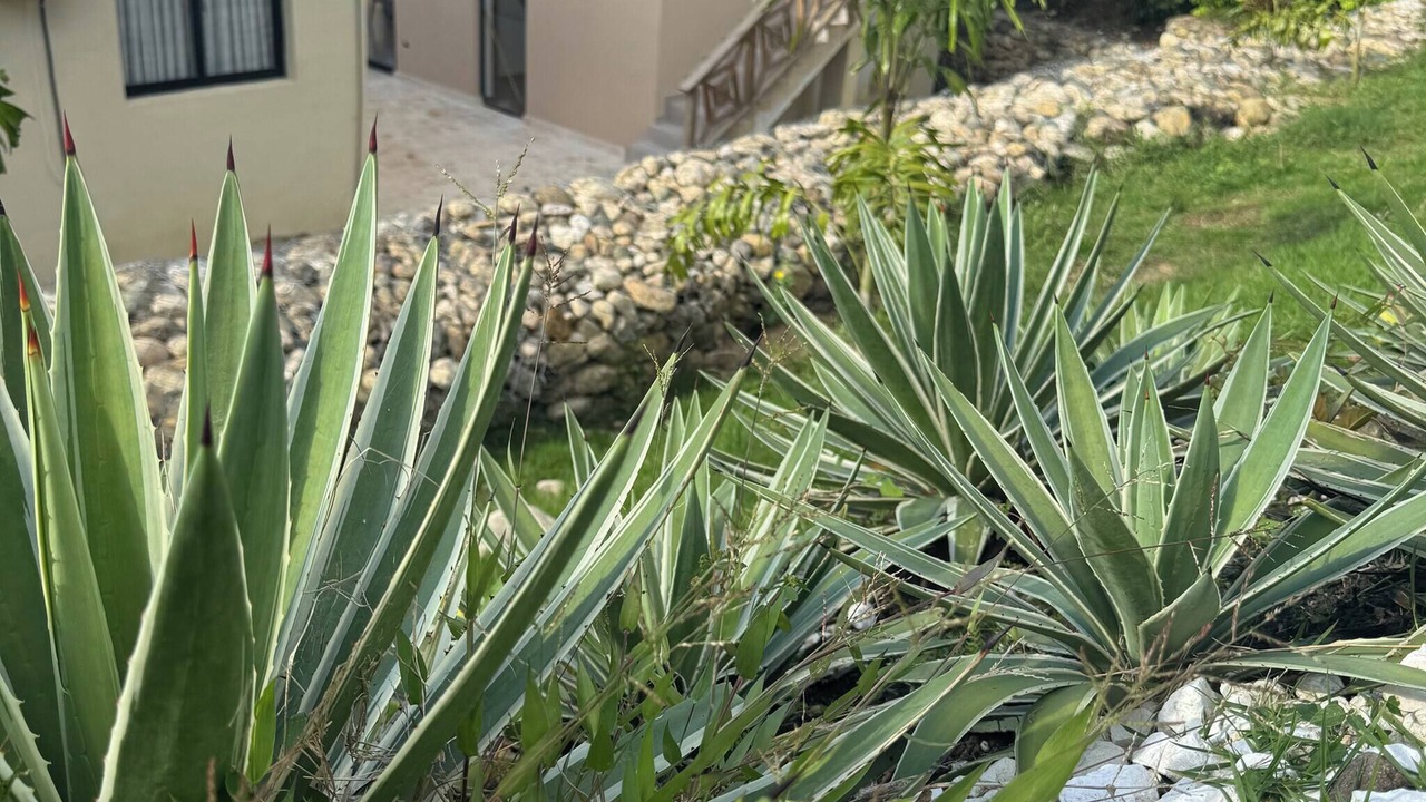 Photo of Outdoor in Imbert