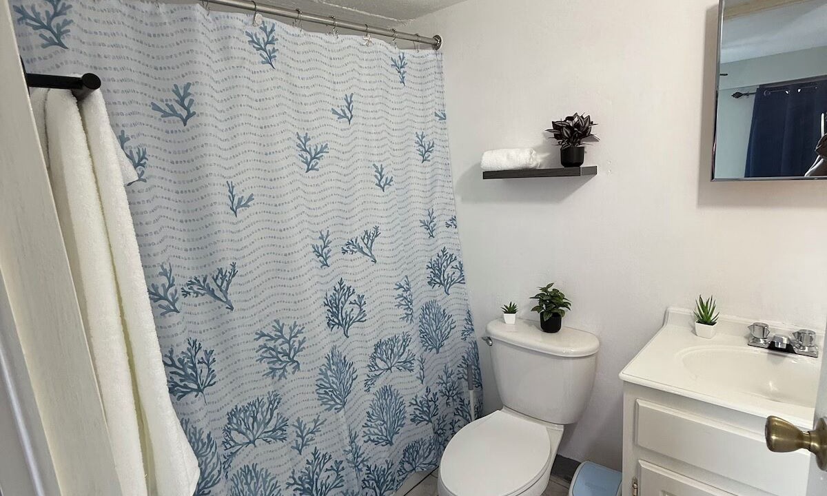 Photo of Bathroom in Treasure Beach