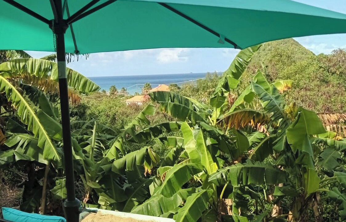 Photo of Outdoor in St. Patrick