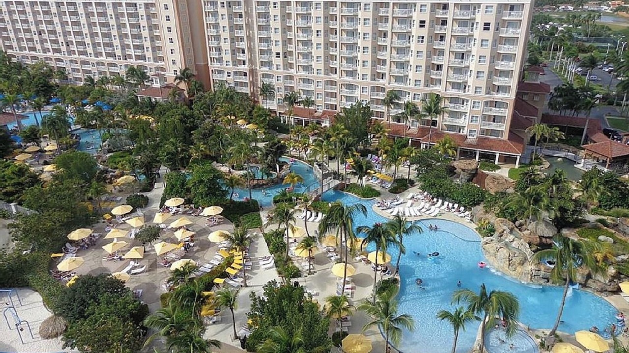 Photo of Others in Palm Beach