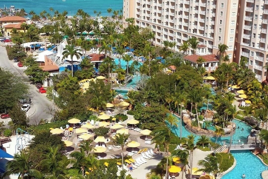 Photo of Others in Palm Beach