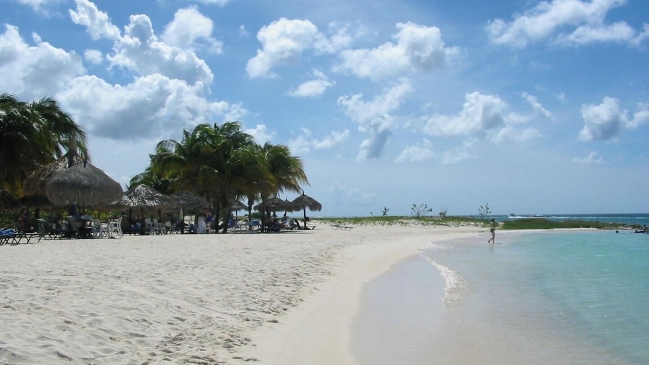 Photo of Others in Palm Beach