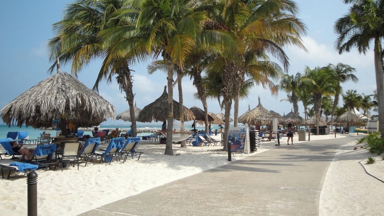 Photo of Others in Palm Beach