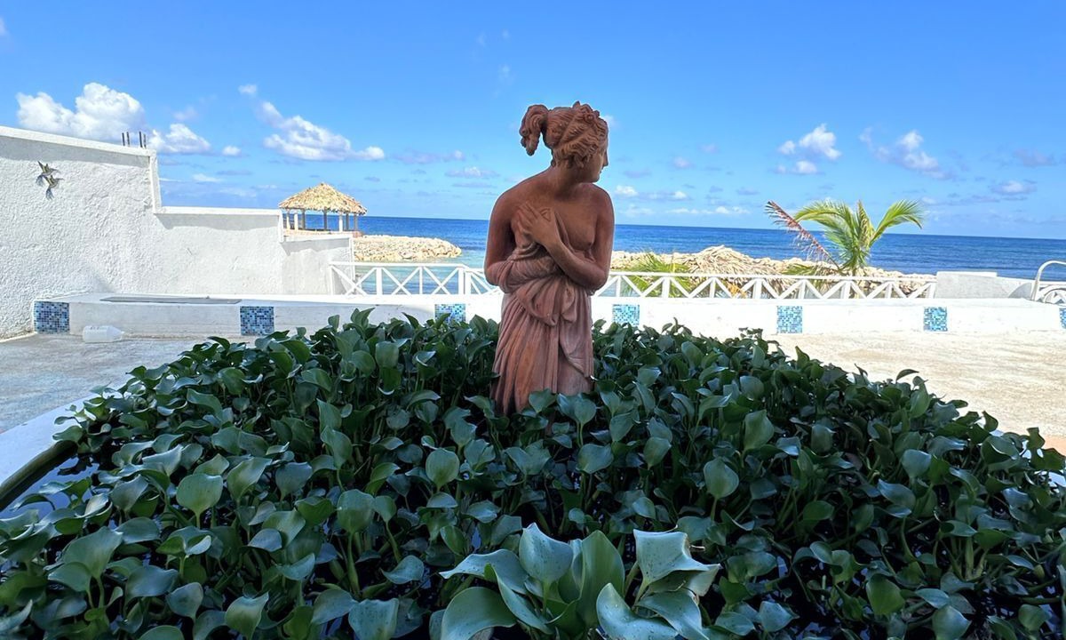 Photo of Outdoor in Runaway Bay