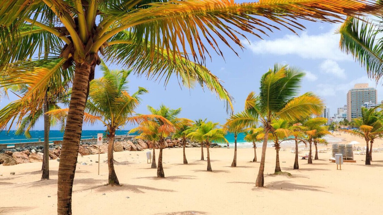 Photo of Others in Condado