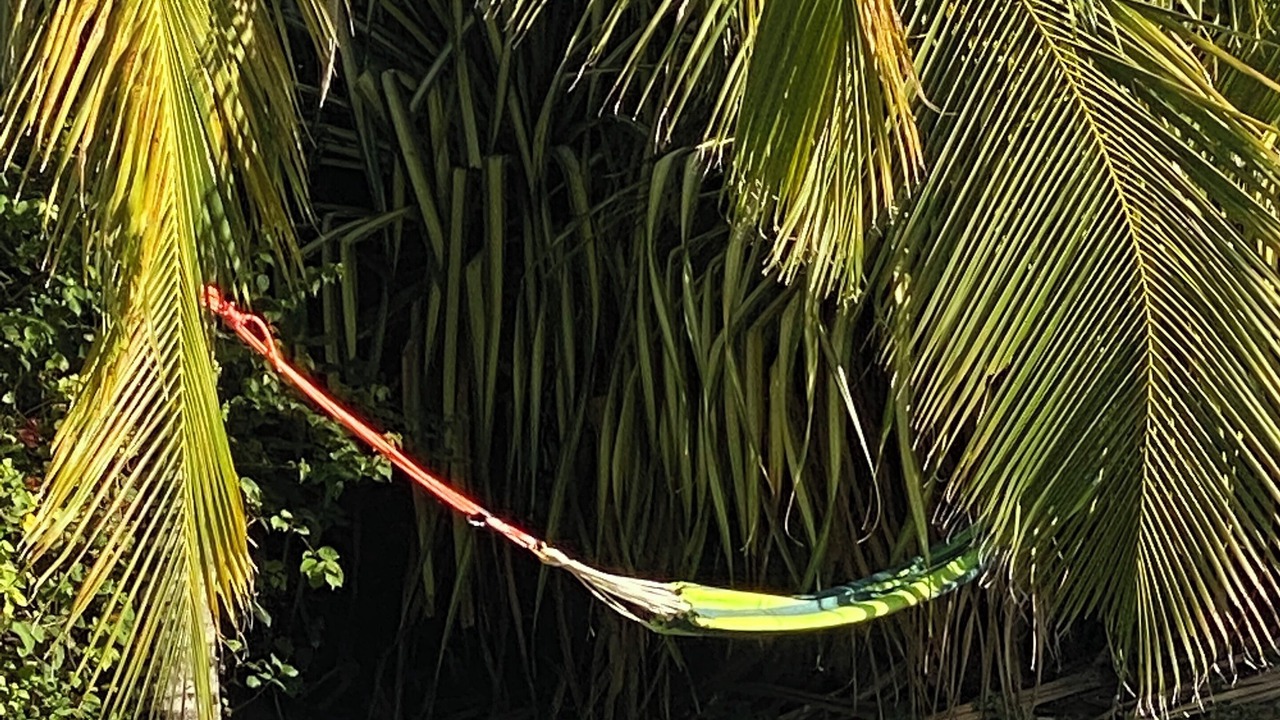 Photo of Outdoor in Dunmore Town