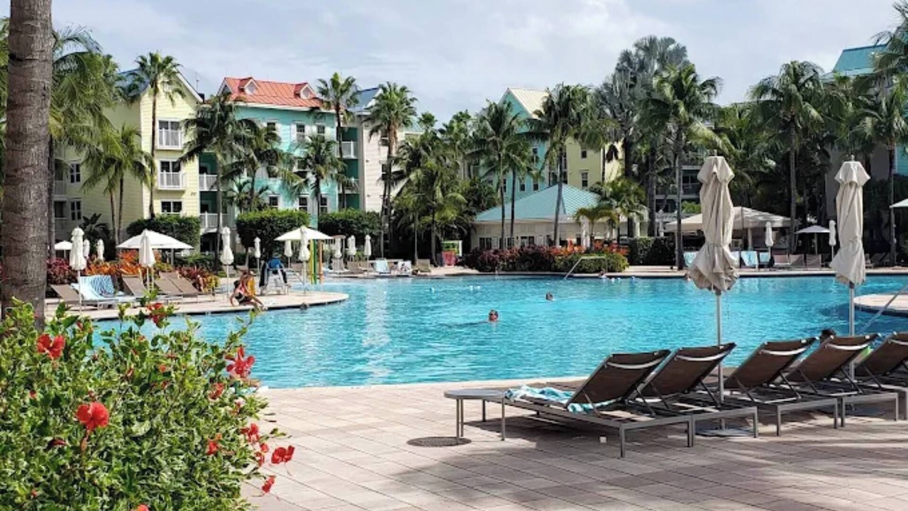 Photo of Others in Paradise Island
